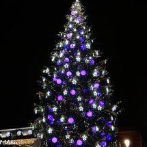 Sapin de Noël place Kléber violet