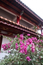 Fleur du temple bouddhiste de Kunming